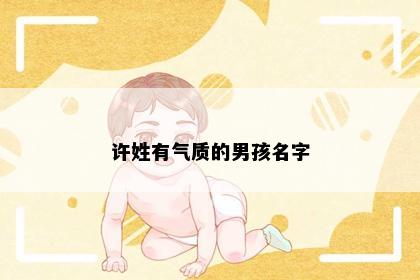 许姓有气质的男孩名字